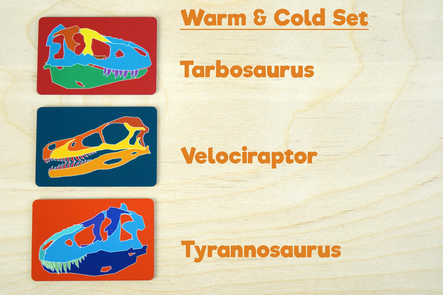Carnivore Dino Skull Magnets - Set of 3