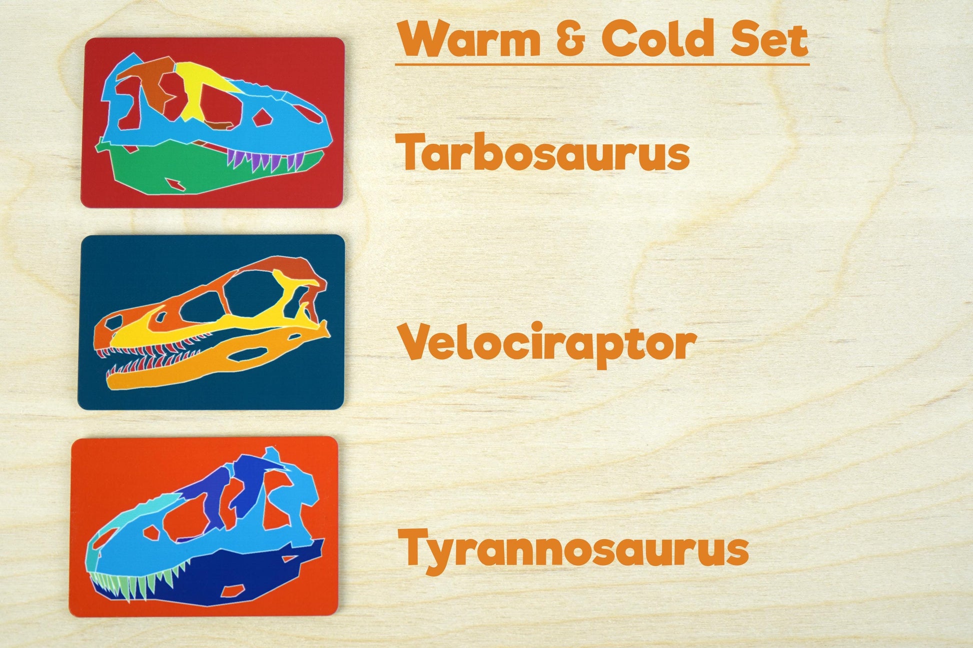 Carnivore Dino Skull Magnets - Set of 3