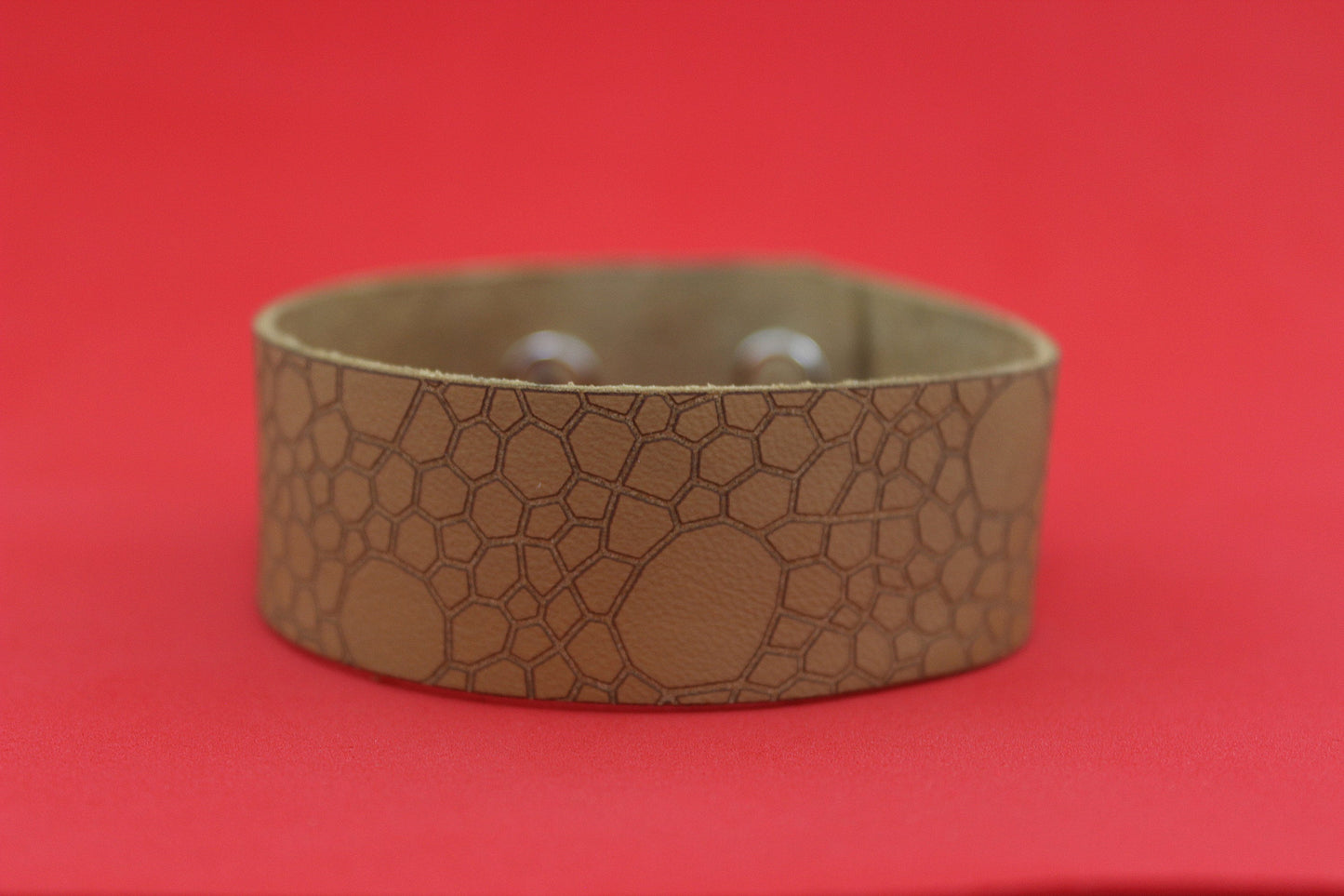 Centrosaurus - Dinosaur Skin Bracelet