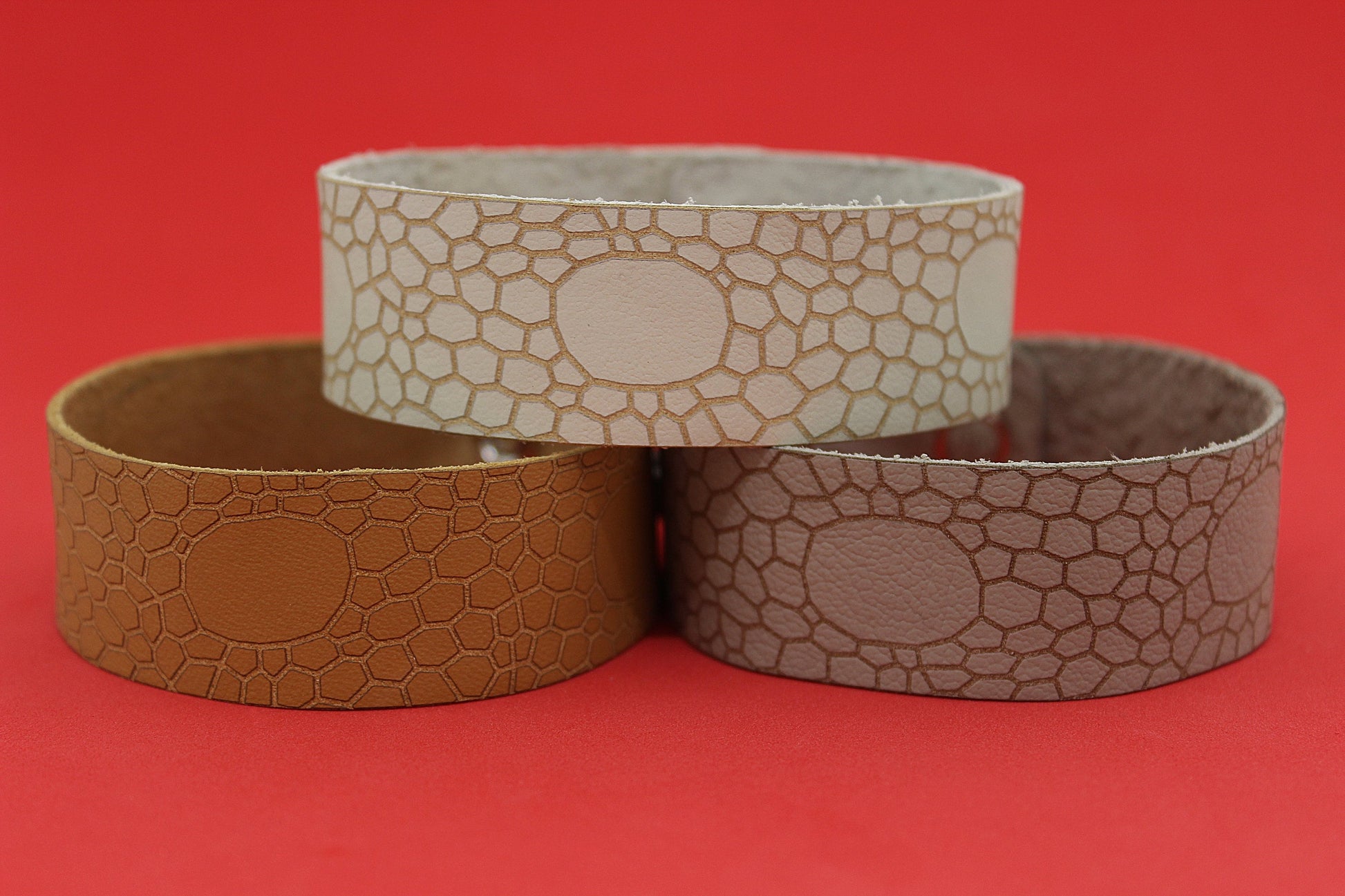 Chasmosaurus - Dinosaur Skin Bracelet