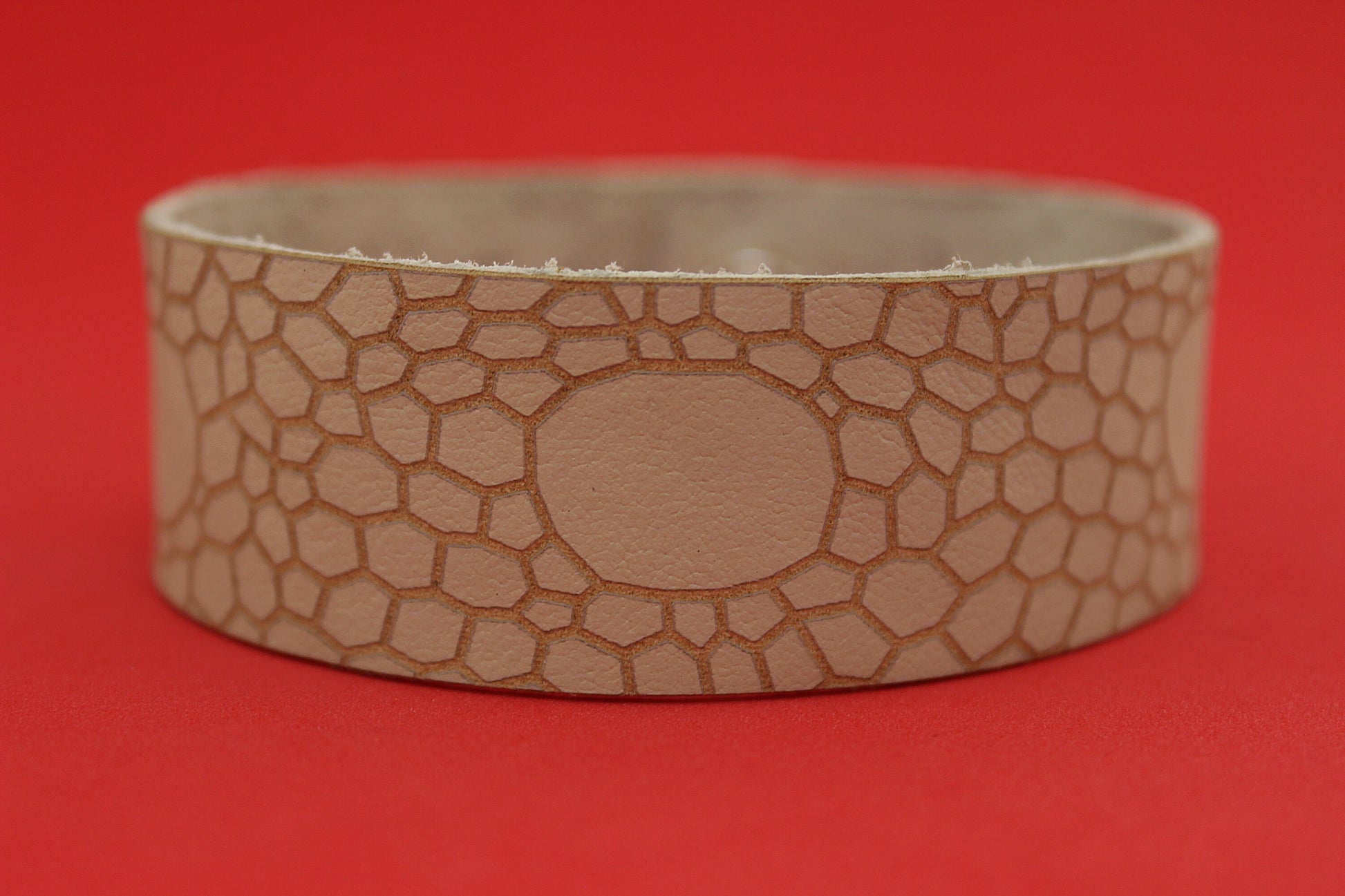 Chasmosaurus - Dinosaur Skin Bracelet