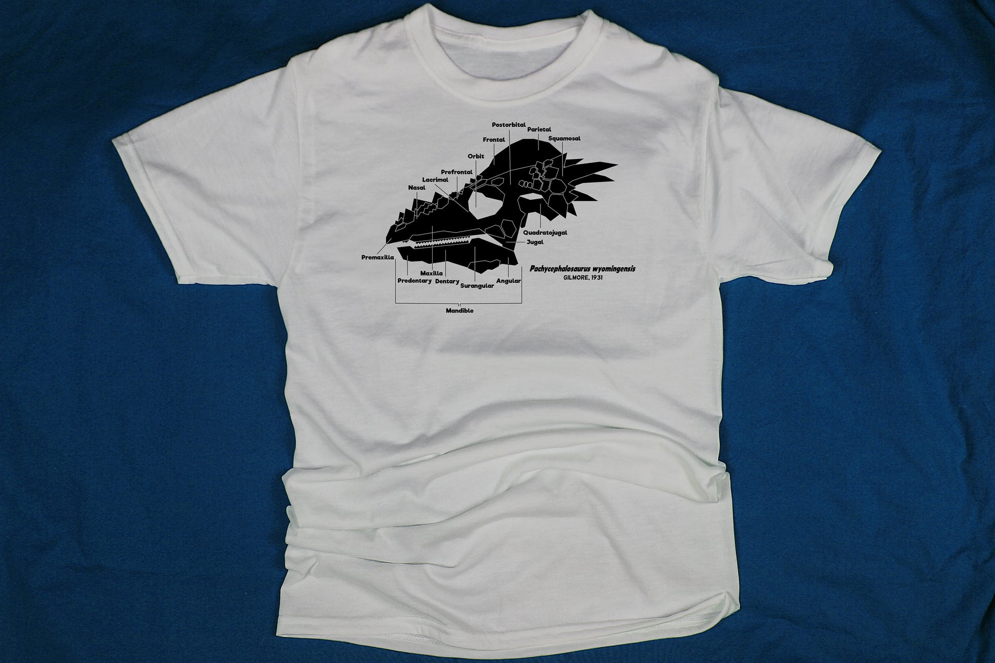 Dinosaur Skull Diagram Shirt (Adult)