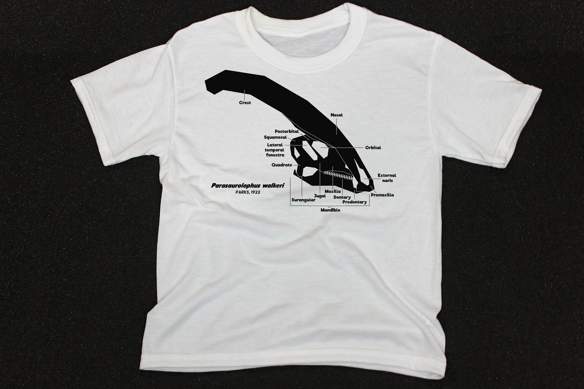 Dinosaur Skull Diagram Shirt (Youth)