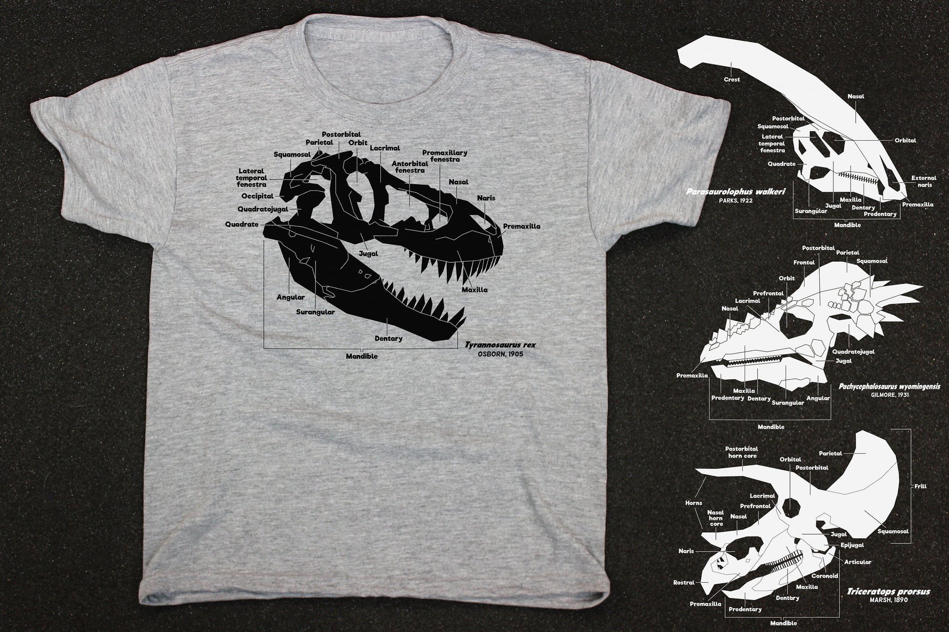 Dinosaur Skull Diagram Shirt (Youth)