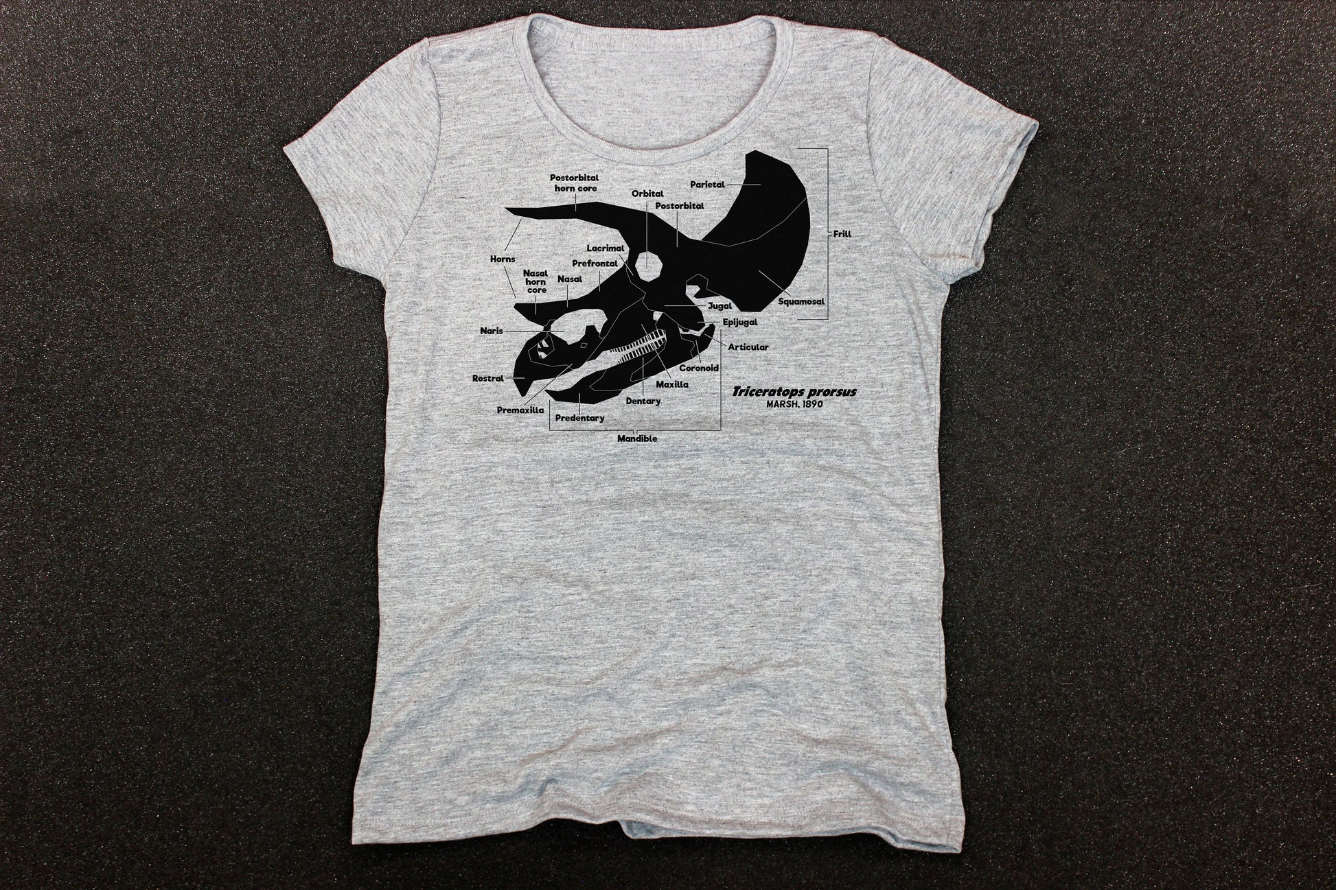 Dinosaur Skull Diagram Shirt (Adult -- "Ladies' " Cut)