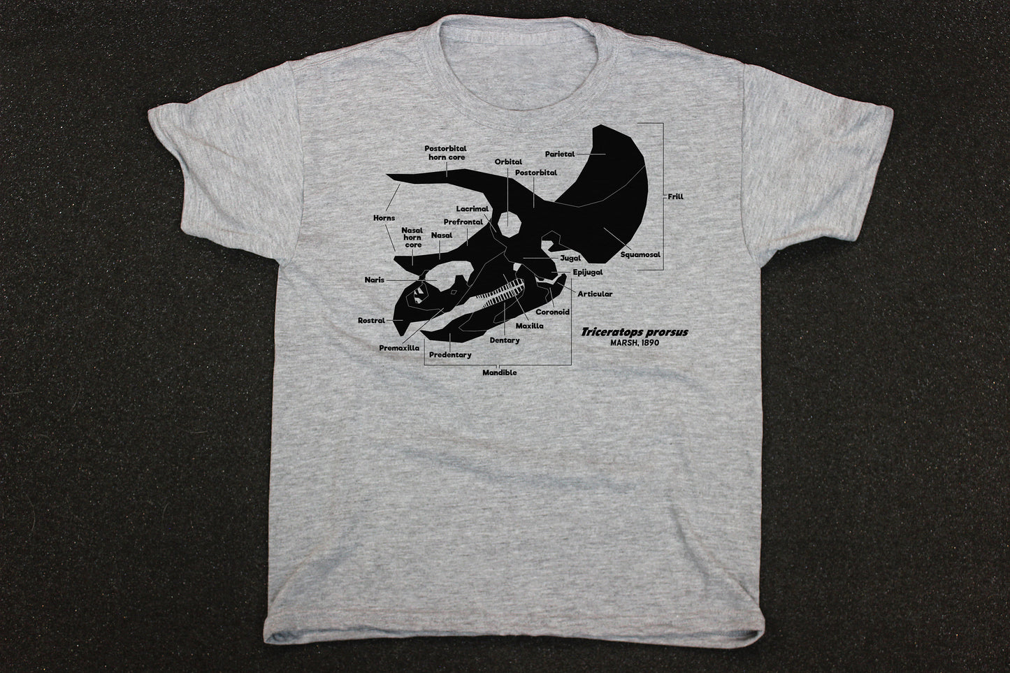 Dinosaur Skull Diagram Shirt (Youth)