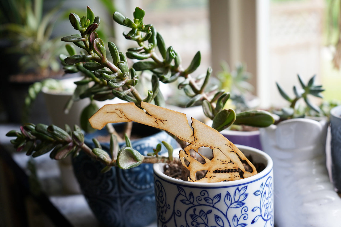 Dinosaur Skull Plant Buddies (Pick Your Dino!)