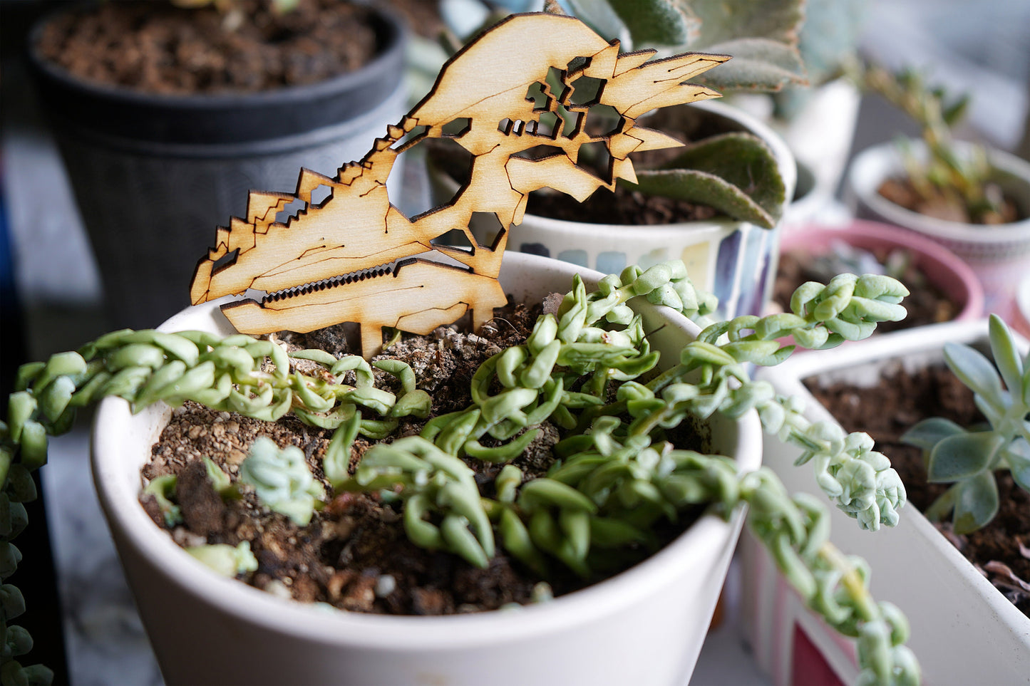 Dinosaur Skull Plant Buddies (Pick Your Dino!)