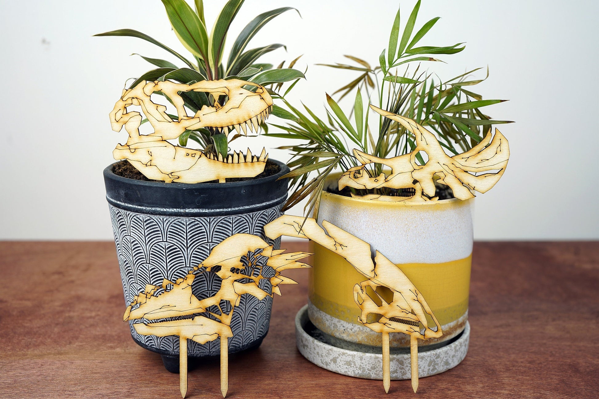 Dinosaur Skull Plant Buddies (Pick Your Dino!)