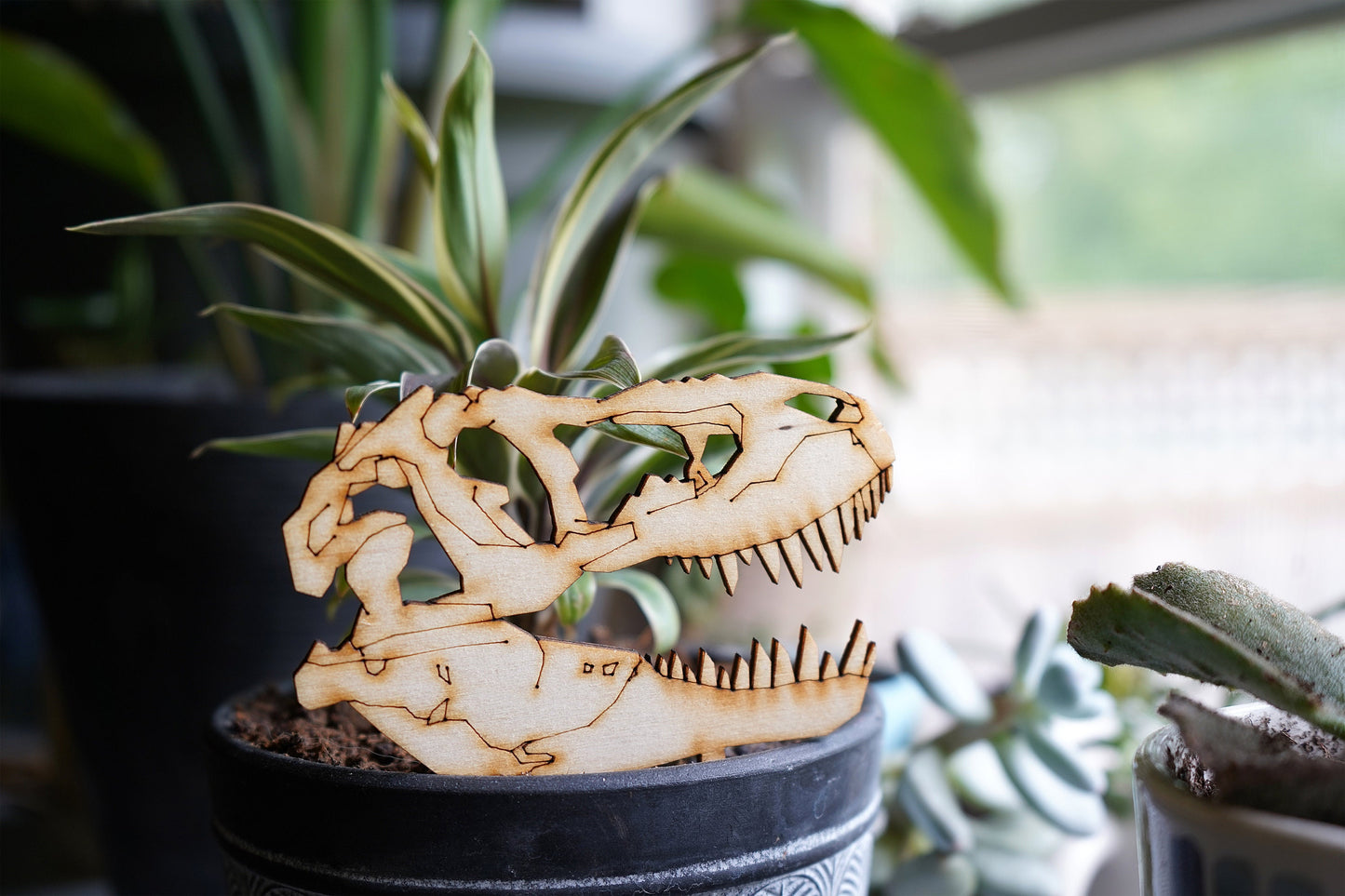 Dinosaur Skull Plant Buddies (Pick Your Dino!)