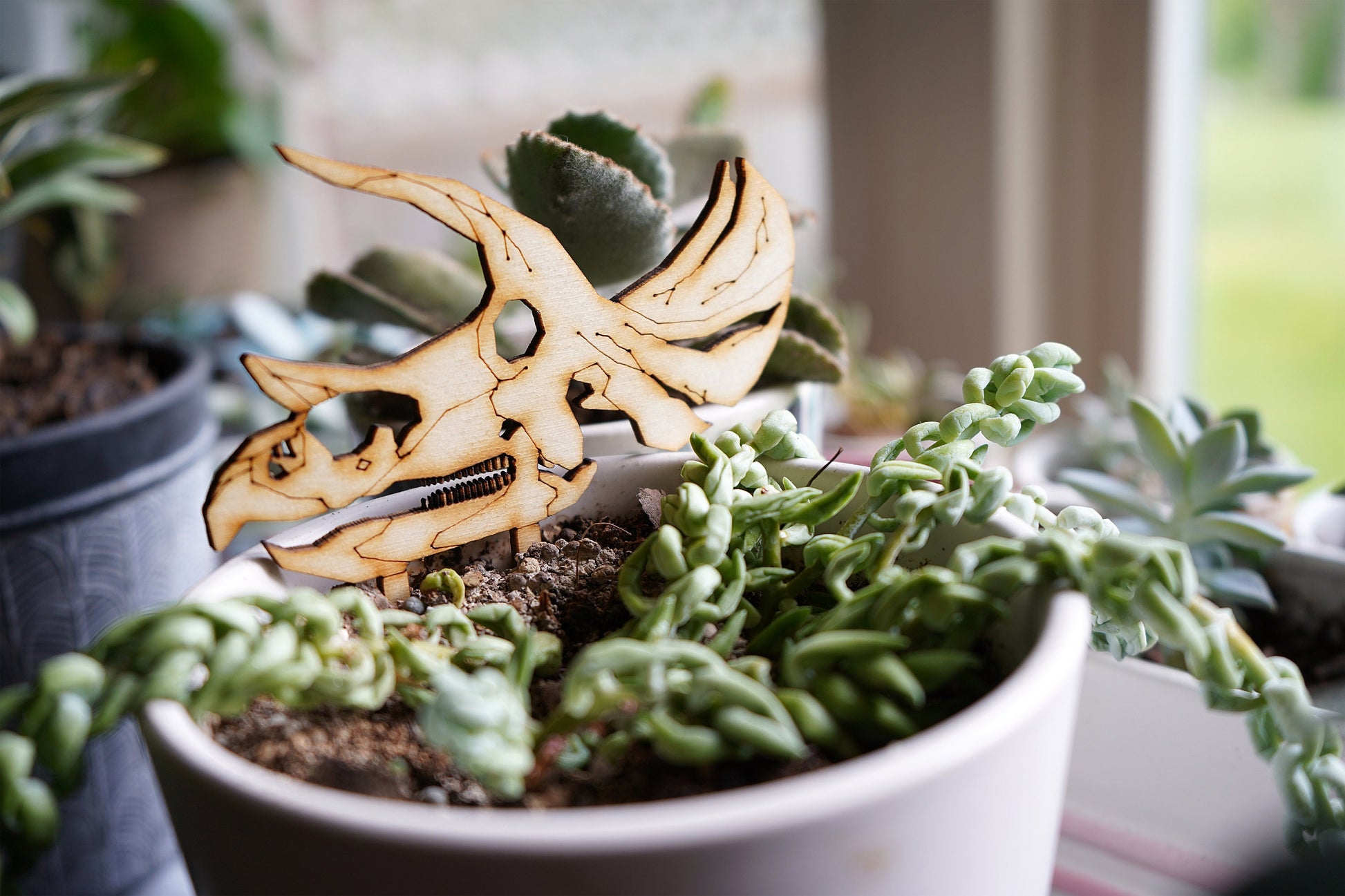 Dinosaur Skull Plant Buddies (Pick Your Dino!)