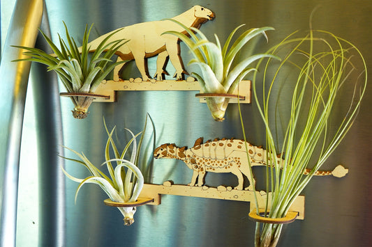 Dinosaur Air Plant Holder (Pick Your Dino!)