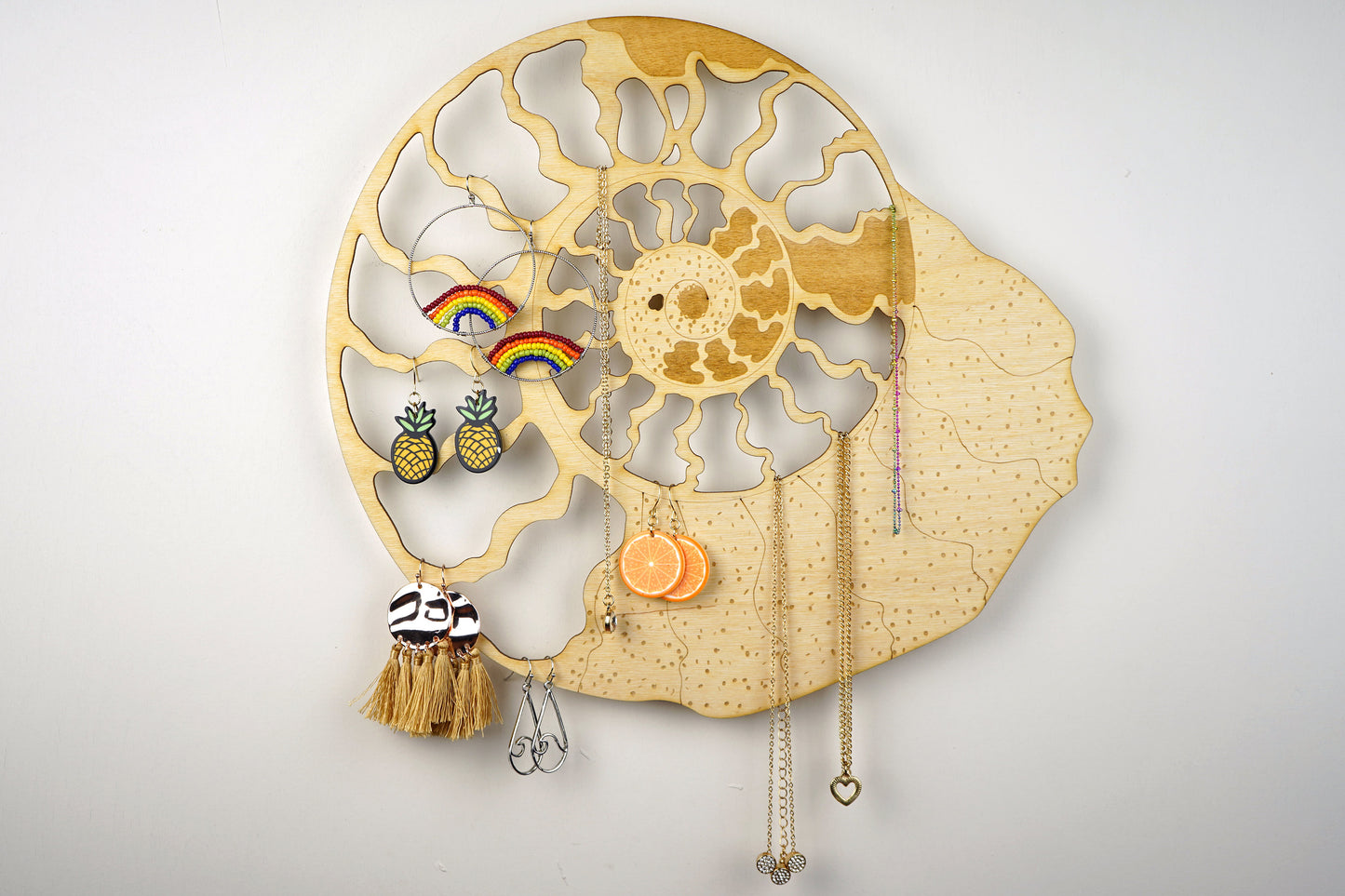 Ammonite Fossil Jewelry Holder