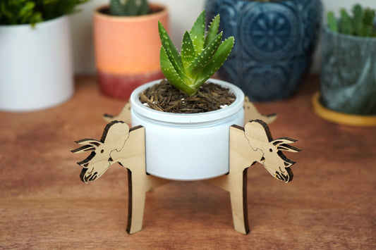 Triceratops Dinosaur Mini Plant Stand