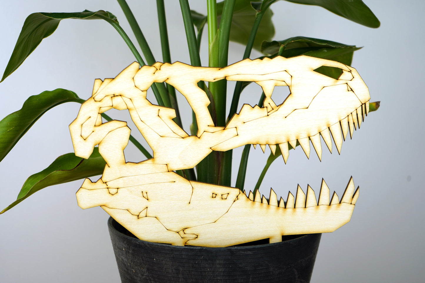 Giant Dinosaur Skull Plant Buddy/Trellis (Pick Your Dino!)