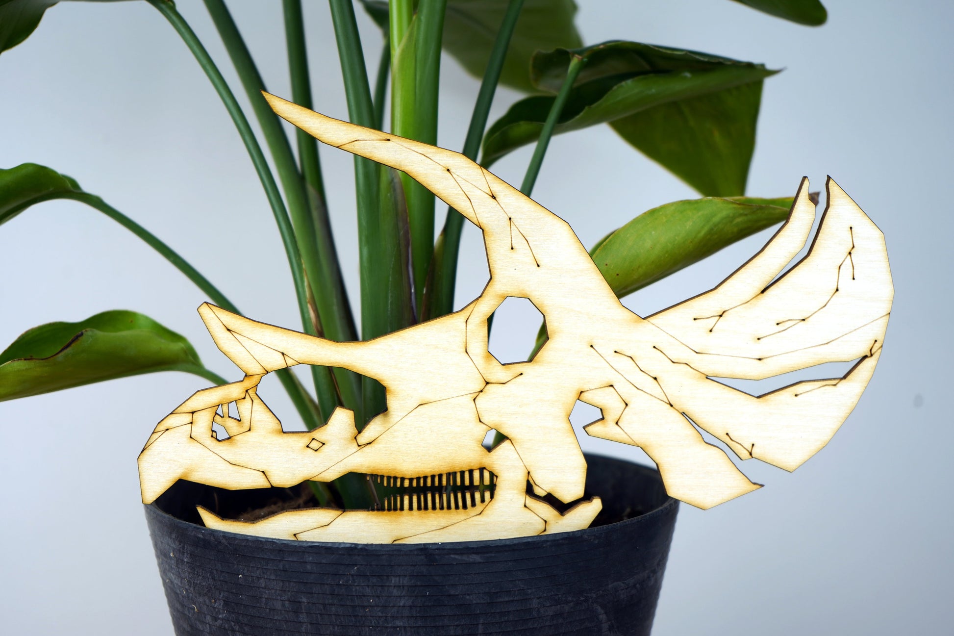 Giant Dinosaur Skull Plant Buddy/Trellis (Pick Your Dino!)