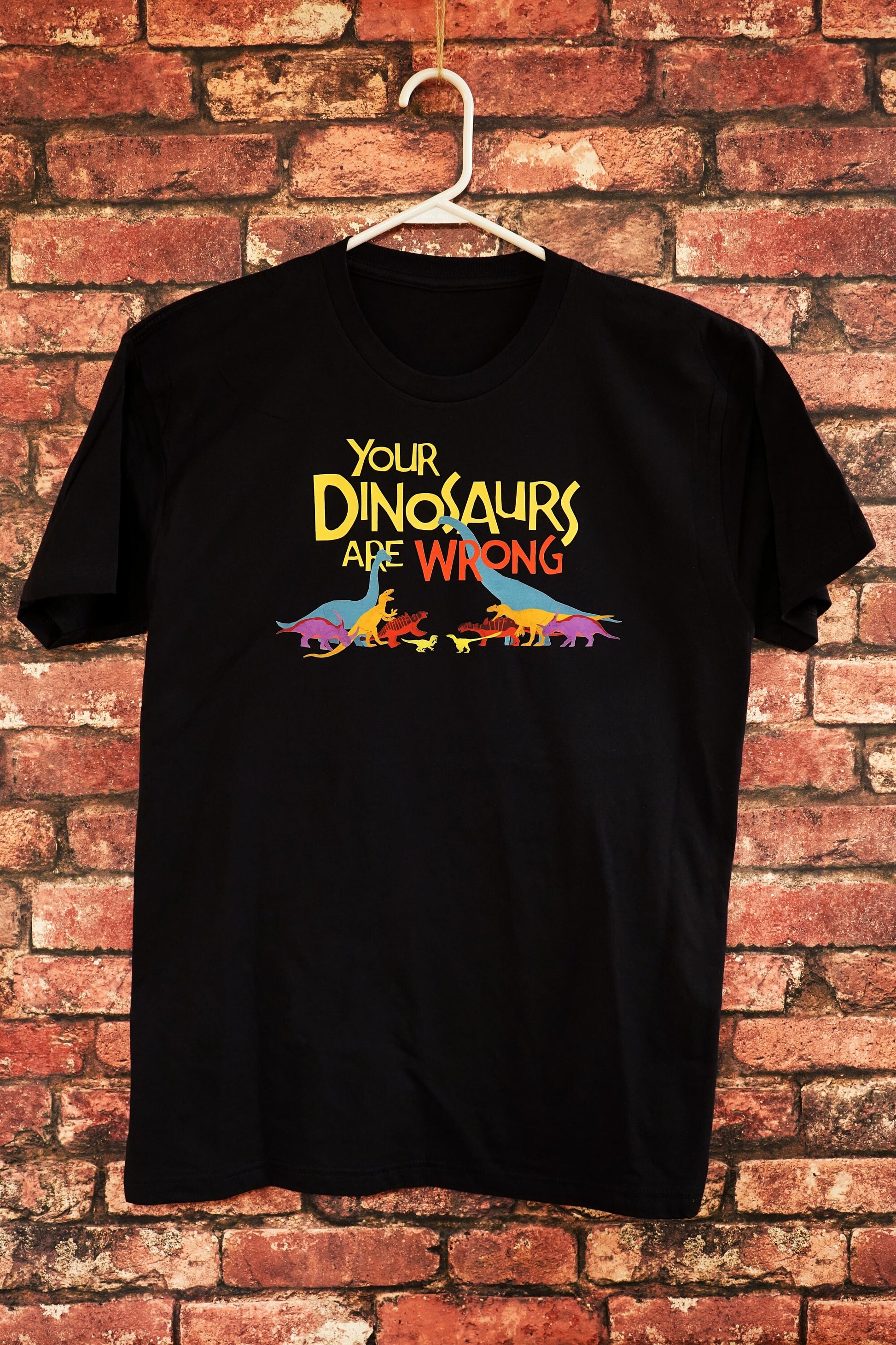 Wrong vs Right Dinosaurs T-shirt